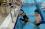幼兒游泳體驗課 準備下水